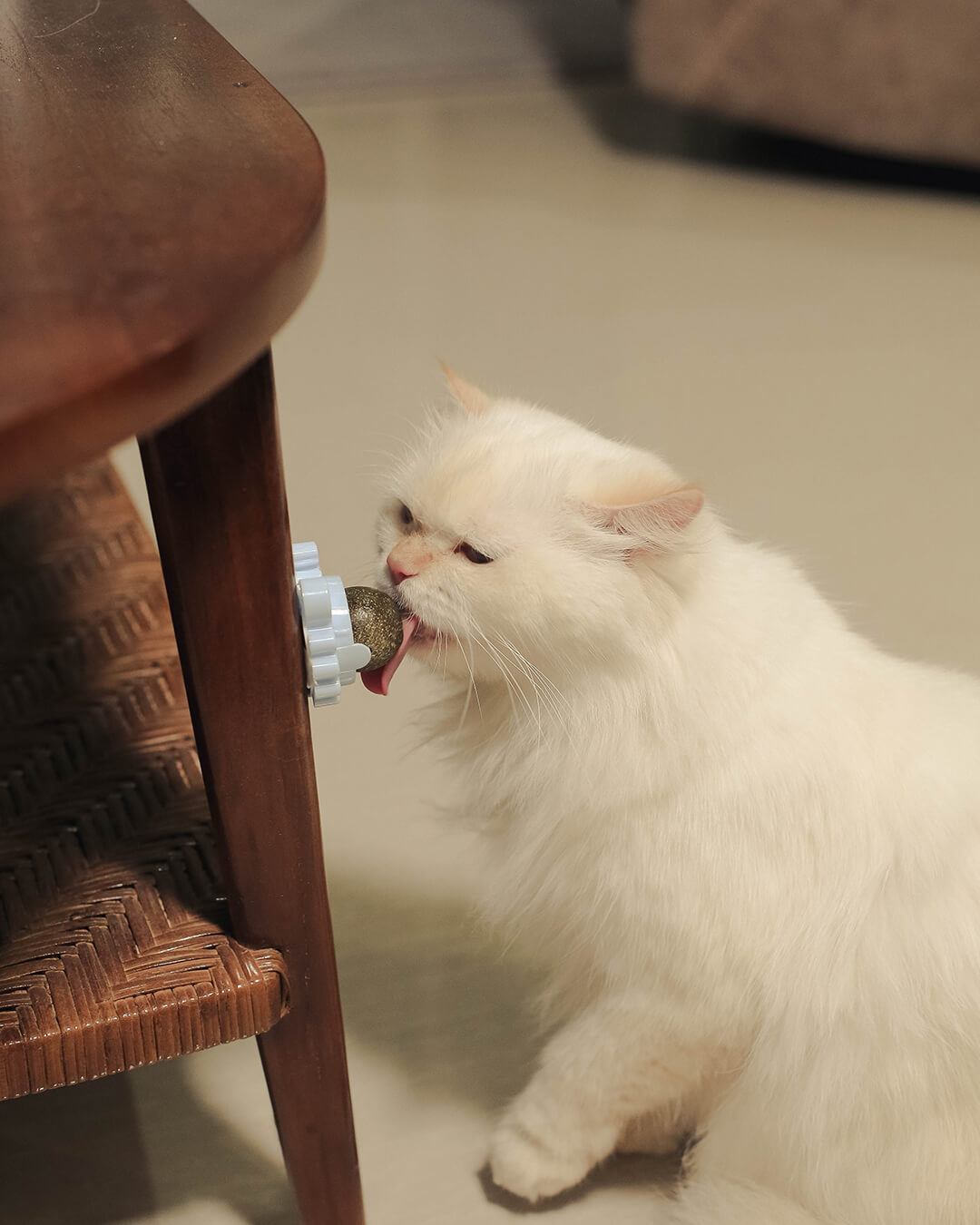 Celery Pets Catnip - Cat Model