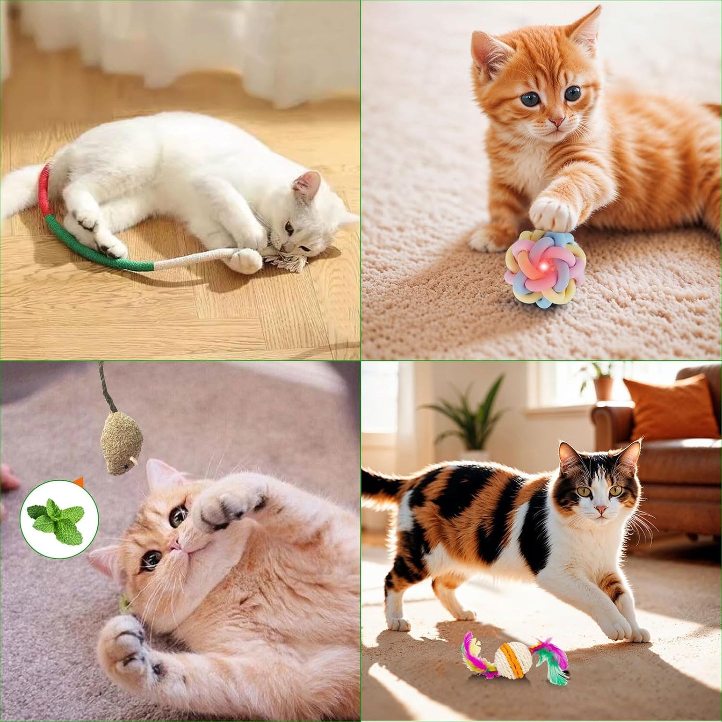 12 Days of Festive Surprises Advent Calendar for Cats